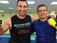 Vladimir Klitschko appreciated the possibility of a fight with Usik