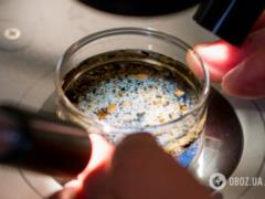 A whole spoon of nanoplasty was found in the human brain: what consequences it has for health