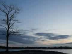 How warm winter will affect the weather in the spring and summer in Ukraine: Forecast