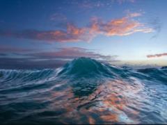 The woman dived in the ocean and saw an incredible creature under water: what is it