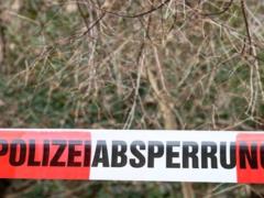 Murder of Ukrainians in Germany for the sake of kidnapping: the court sentenced