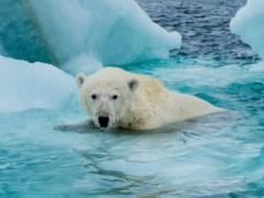Земля без ледяного покрова: спутниковые снимки впервые запечатлели Аляску без снега