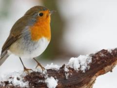Ukraine is captured by high atmospheric pressure: weather forecasters said how long the frosts will last