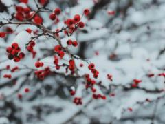 The coldest will be in three areas: the weather forecaster told what weather to wait in Ukraine. Map