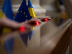 Рада одобрила реформу АРМА