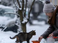 An intensive drop in atmospheric pressure is expected: weather forecasters warned weather dependent people about the consequence