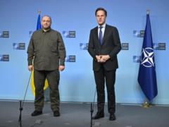 All NATO countries support Ukraine - Umarov