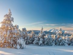 Ukraine will cover snowfall: the thickness of the cover will reach 10 cm
