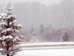 The whole country is a yellow level: weather forecasters warned of a dangerous weather phenomenon on Sunday, February 16