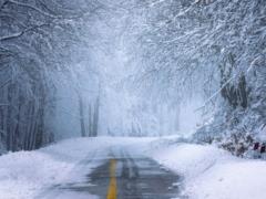 In Ukraine, ice is predicted on the roads on February 17