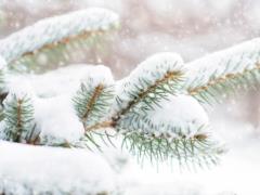 Frosts will begin to retreat: the weather forecaster said when warming will burst into Ukraine