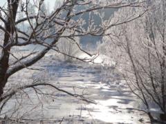 Лютий морози в Україні: синоптики погоди прогнозують охолодження до -20 ° C