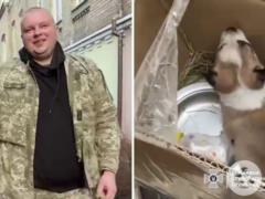 Теперь у малыша есть не только теплый дом, но и семья : пограничник спас щенка и вывез его из зоны боевых действий.