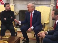  Должны уважать : первые реакции политиков на ссору Зеленского и Трампа (скриншоты)