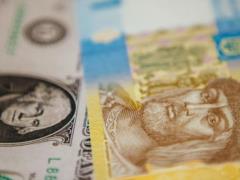 Стоит ли скупать доллары: украинцам рассказали о ситуации на валютном рынке