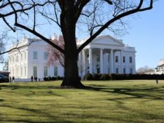 The new White House workers are checked for loyalty to Trump - Media