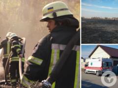 В Киевской области пожар в поле унес жизнь женщины. Подробности трагедии и фото