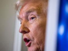Trump promised to make Greenland  