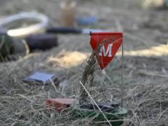 Четыре страны ЕС вышли из Конвенции о противопехотных минах