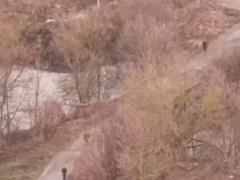 ВСУ показали, как уничтожают штурмовые группы россиян