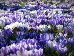 Гороскоп на выходные 22-23 марта 2025 года