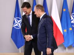 Рютте и Туск обсудят результаты переговоров США с Украиной и РФ