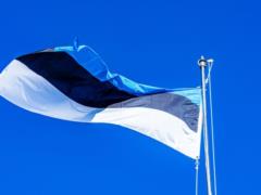 В Эстонии россиянина осудили за поджог украинского автомобиля