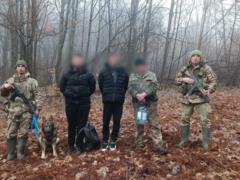 Помогал уклонистам бежать через горы: на Закарпатье задержали пенсионера