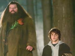Кто сыграет Хагрида в сериале о Гарри Поттере: назван главный кандидат