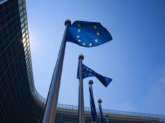 В Еврокомиссии прокомментировали венгерский опрос о членстве Украины