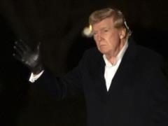 Трамп сделал заявление о членстве Украины в НАТО и редкоземельных металлах