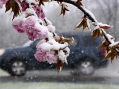 В Украину вернулся снег: водителей призвали быть осторожными на дорогах.