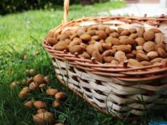 Продукты богаты клетчаткой, которые следует добавить в рацион