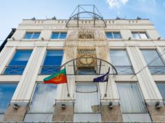 5000 птиц надежды: в Киеве открыли артинсталляцию бельгийского дизайнера