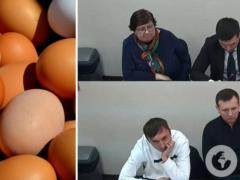Фигурантам дела о  яйцах по 17 гривен  избрали меры пресечения: какое решение принял суд