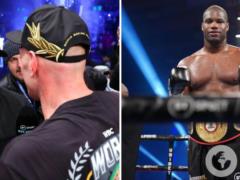Стало известно, лишат ли Усика чемпионского пояса из-за реванша с Дюбуа