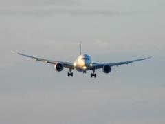 Россия просит у США разрешение на покупку самолетов Boeing - СМИ