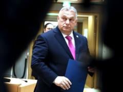 Евросоюз готовит жесткие меры против Венгрии: причем здесь Украина