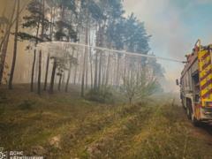 На Харьковщине масштабный лесной пожар