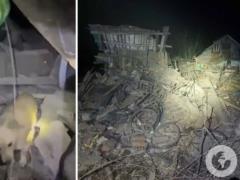На Сумщине спасатели вытащили из-под завалов собачку после ночной атаки врага.