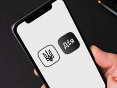 A new important function will appear in DIA: who can use