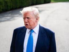 Трамп допускает встречу с Зеленским в Риме