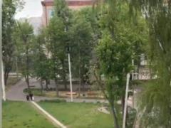В Харькове и Сумах пошел снег