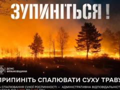 В Украине зафиксировали почти 23 тысячи пожаров в экосистемах