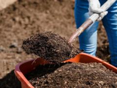 Только привлечено вредителей: какие продукты нельзя добавлять в компост