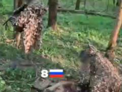 Силы ССО уничтожили штурмовую группу оккупантов в тылу врага - видео без цензуры