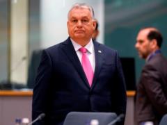 Орбан обвинил Украину в сотрудничестве с венгерской оппозицией