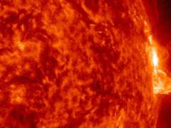 A powerful flash occurred in the sun after a long break: spectacular shots