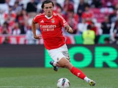 Real intends to acquire a promising defender of Benfica