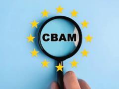 CBAM может добить украинскую экономику и не поможет окружающей среде, – Цыганок